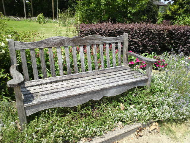 e0099212_1771989.jpg