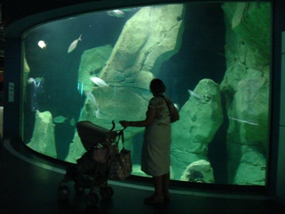 b0182718_20453153.jpg