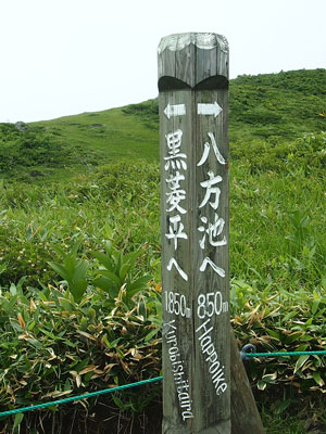 e0312121_20342480.jpg