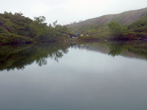 e0312121_20355535.jpg