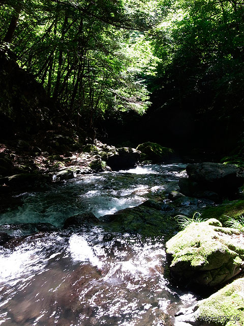 e0112722_9562038.jpg
