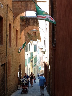 c0051529_9563249.jpg