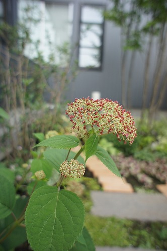 f0205733_15213142.jpg