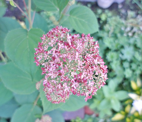 f0205733_15213760.jpg