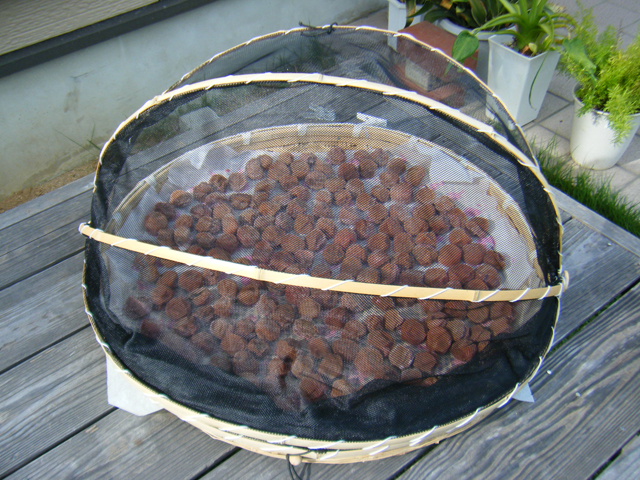 f0008935_22214342.jpg
