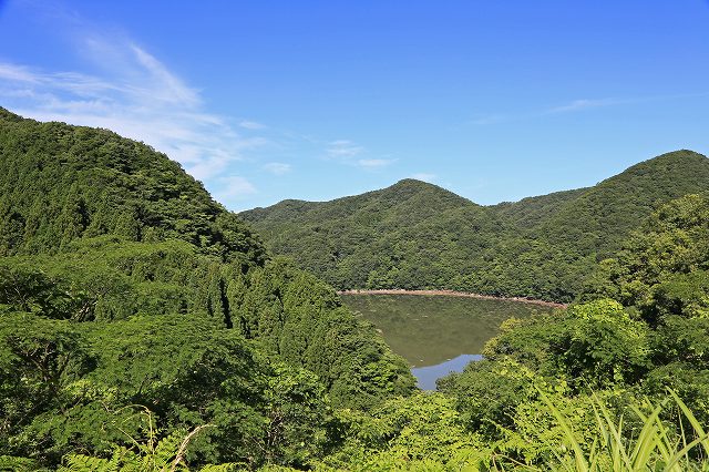 a0242438_20253247.jpg