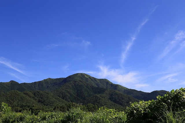 a0242438_2025429.jpg