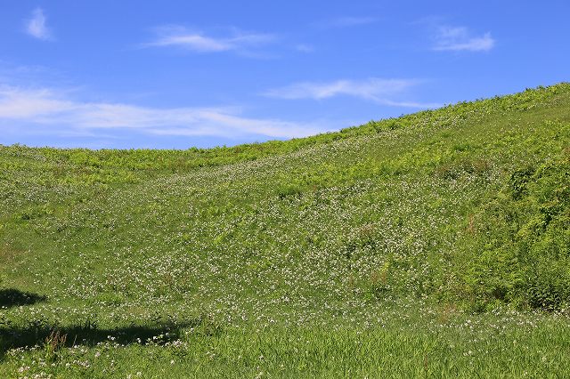 a0242438_20274435.jpg