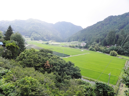 c0172139_1014353.jpg
