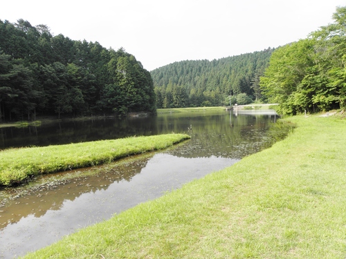 c0172139_10592.jpg