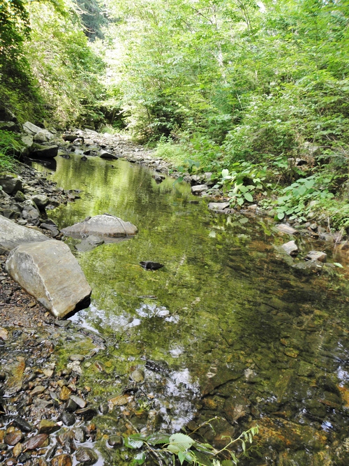 c0172139_1074056.jpg