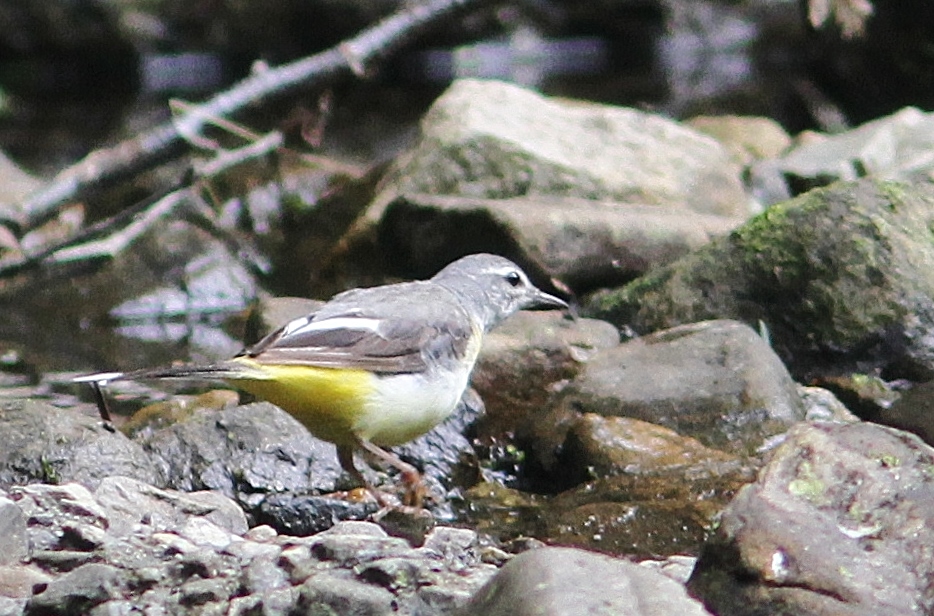 c0172139_11585651.jpg