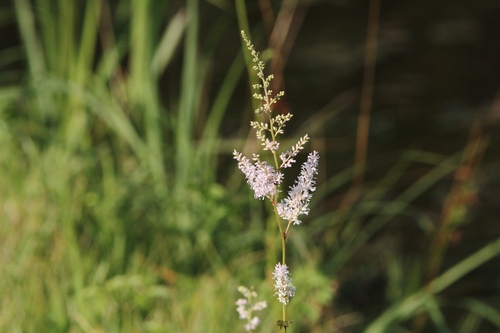 c0172139_15375078.jpg