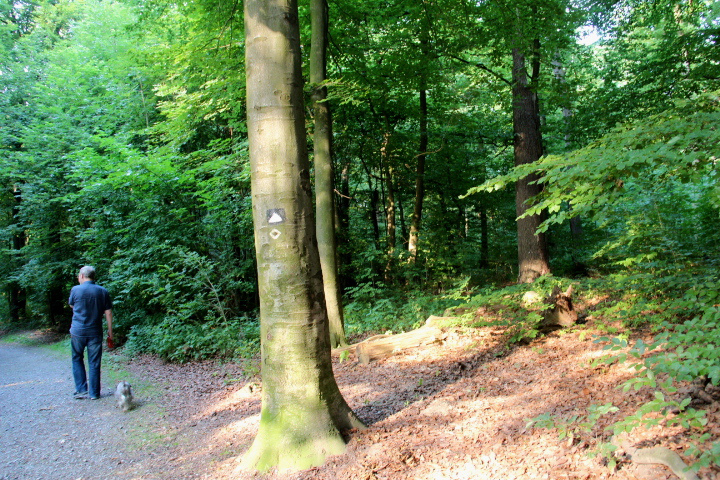 c0153740_159913.jpg