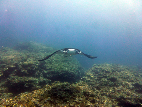 f0014842_20305179.jpg