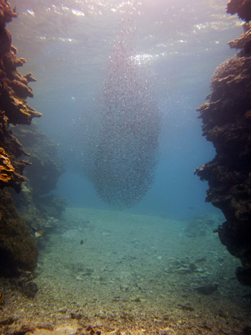f0014842_20344190.jpg