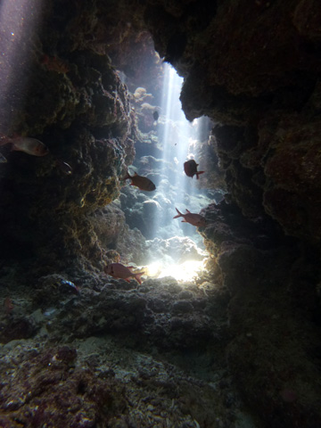 f0014842_2034536.jpg