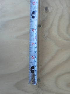 e0150849_20491922.jpg