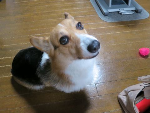 e0218450_23133517.jpg