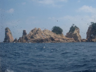 d0031853_435276.jpg