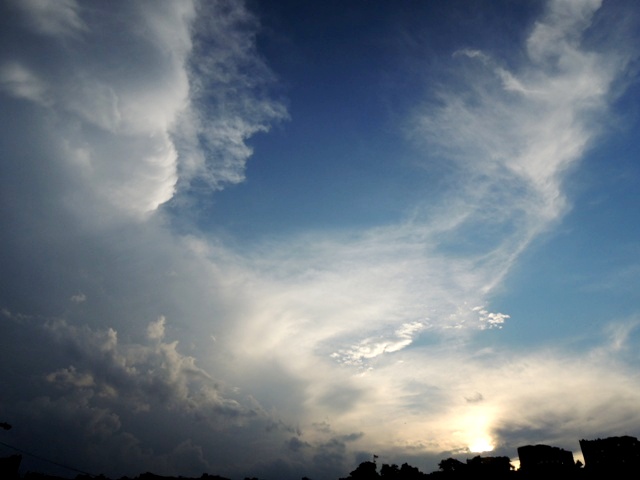 b0173754_12254742.jpg