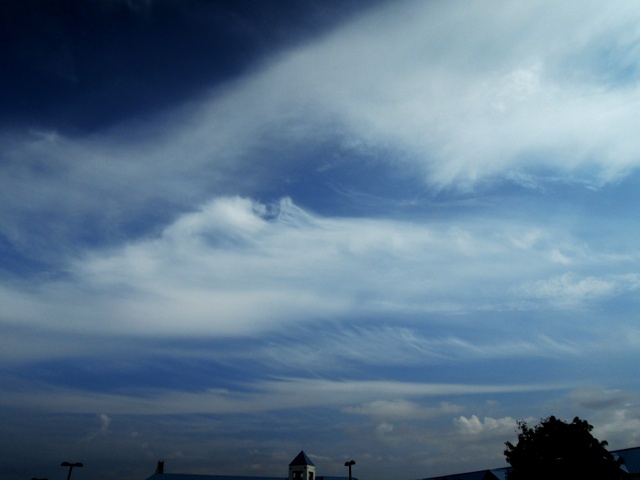 b0173754_12264927.jpg