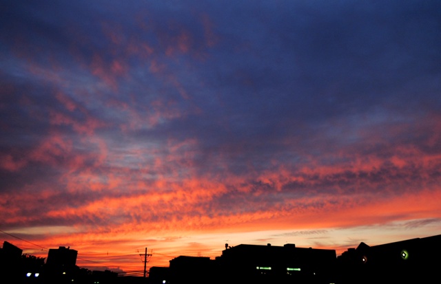 b0173754_12282412.jpg