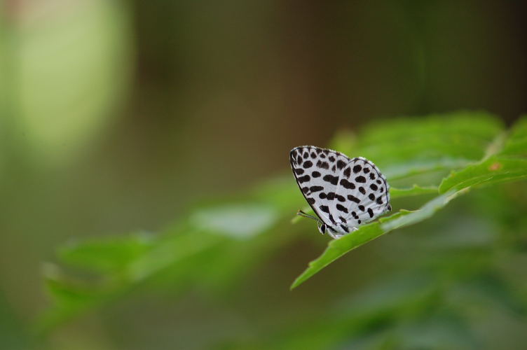 b0167762_2255316.jpg