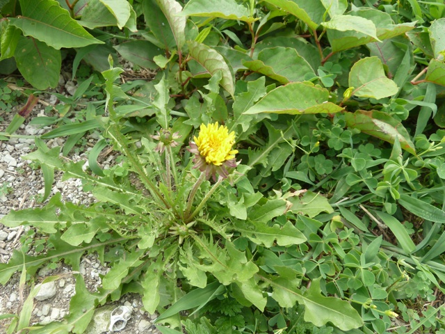 e0278968_23423070.jpg