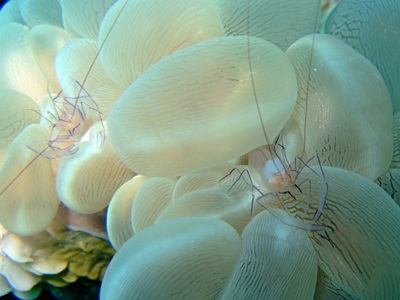 b0033573_1640930.jpg