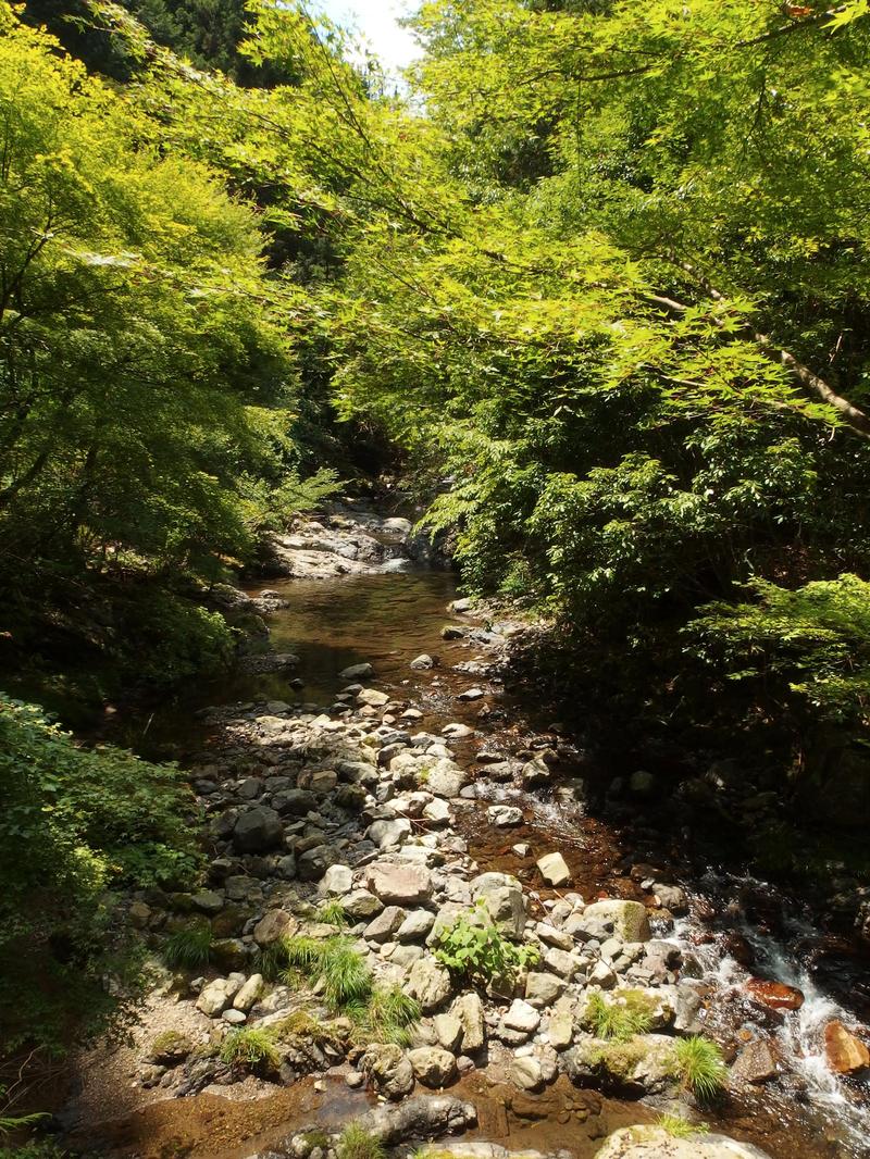 c0177576_11523276.jpg