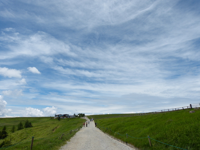 f0287487_20231235.jpg