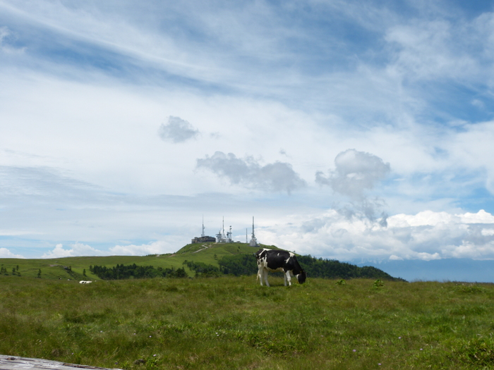 f0287487_20245355.jpg