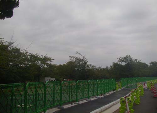 d0053294_19910.jpg