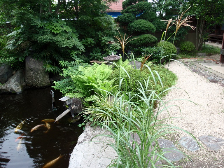 d0069498_21584117.jpg
