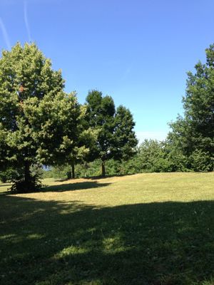 f0248903_17352557.jpg
