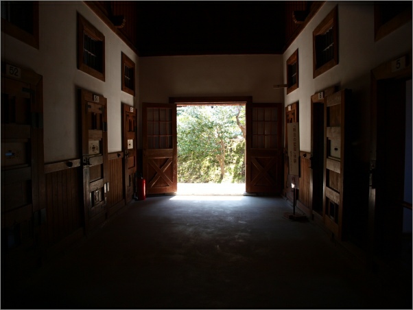 d0114517_1035987.jpg