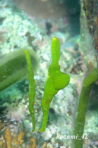 b0164920_0101213.jpg