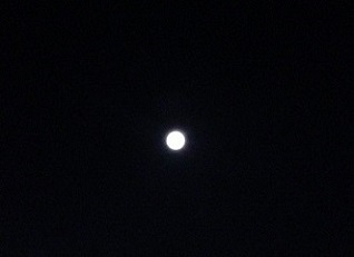 c0051529_52873.jpg