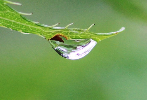 c0172139_23544365.jpg