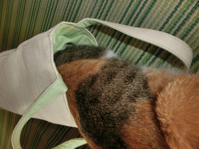 c0194042_1672625.jpg
