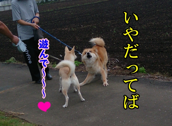 f0195543_22155842.jpg