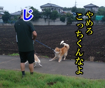 f0195543_22162746.jpg