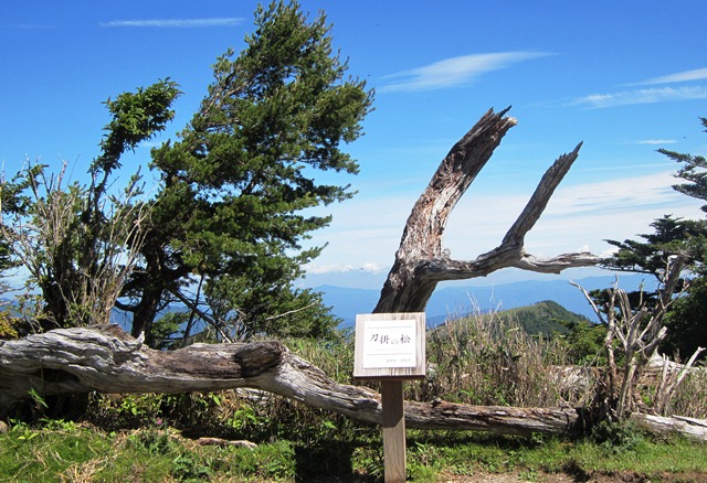b0289649_21371611.jpg