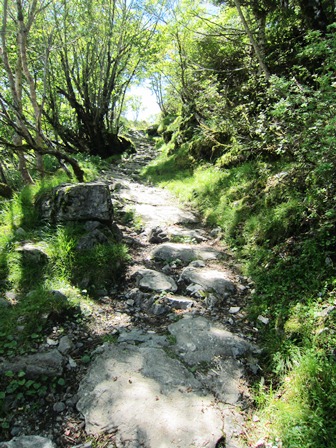 b0289649_21464132.jpg