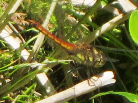 b0289649_2146585.jpg