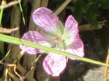 b0289649_21472327.jpg