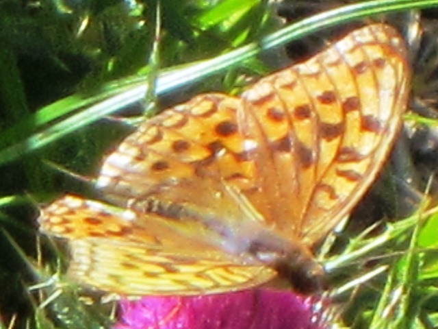 b0289649_22255573.jpg