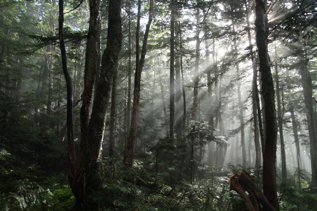 f0214649_105225.jpg