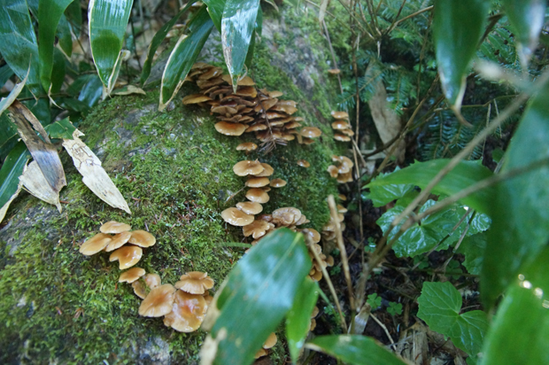 f0214649_1655269.jpg